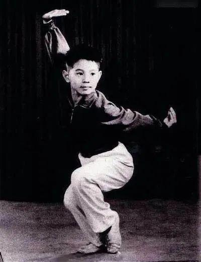 李连杰电影影响力_李连杰的影视评价与观众反响_李连杰的反派电影