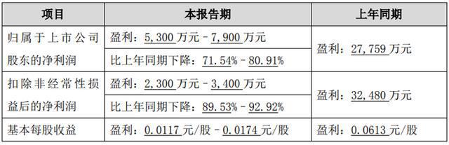 全面解读39家公司2024年超亿元亏损的原因及其影响_全面解读39家公司2024年超亿元亏损的原因及其影响_全面解读39家公司2024年超亿元亏损的原因及其影响